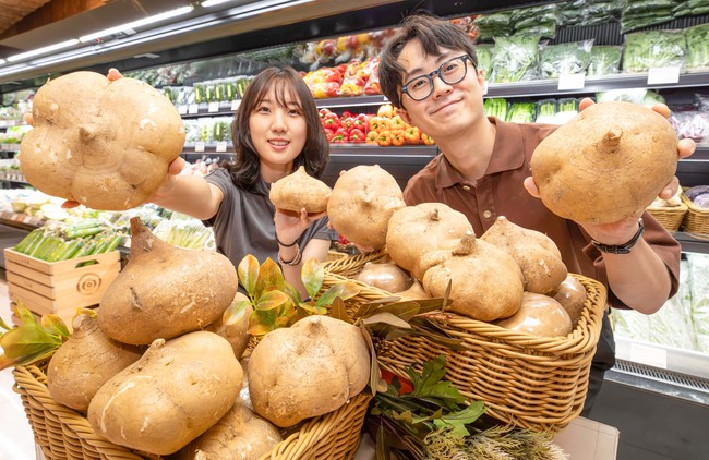 현대백화점, ‘더현대 부산’부터 히카마·공정거래까지… 상생·혁신 투트랙 경영