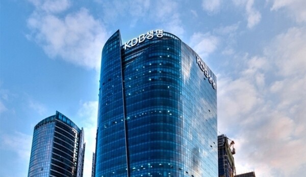 [더밸류 브리핑] 생명보험 오늘의 소식…신한라이프케어·DB생명·KDB생명