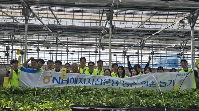 [더밸류 브리핑] 오늘의 NH금융 소식...NH투자증권·NH-아문디자산운용·NH헤지자산운용