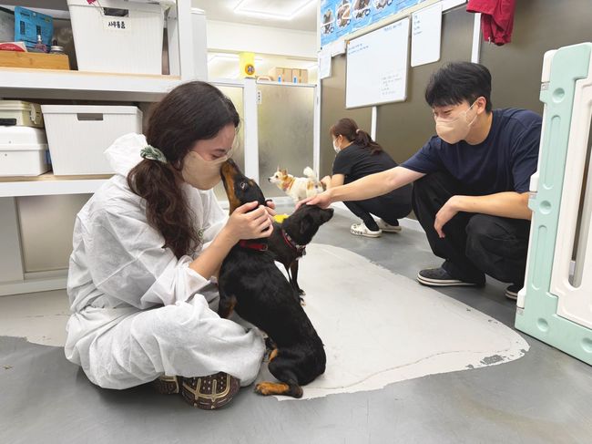 [항공 레이더] 대한항공, 무인기 기술교류회 개최... 에어부산은 커리어 엑스포, 티웨이는 유기견 보호소 봉사