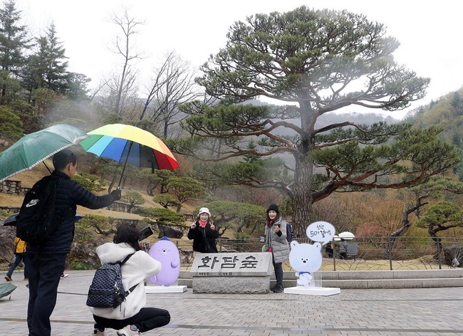 신한은행, 연금 고객 위한 \ 화담숲에서 걸어봄\  페스티벌 성료